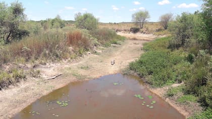 Sequía dentro del Parque Nacional Mburucuyá (Corrientes)